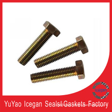 Hex Head Bolt/Hexagon Bolt/Hex Bolt/Hex HD Bolt Ig100